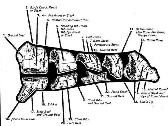 major cuts of beef